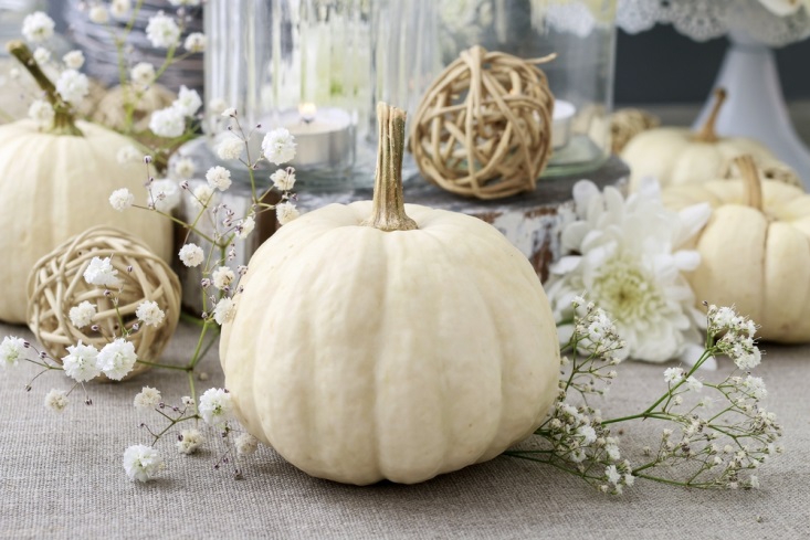 White pumpkin among late fall-inspired table decorations