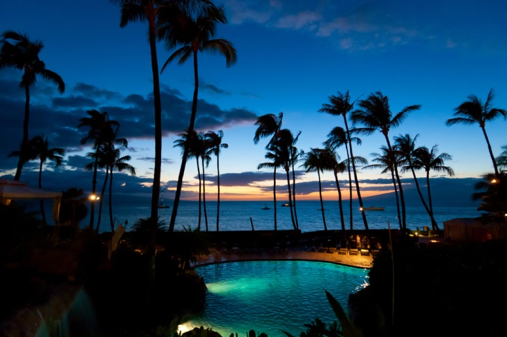 Palm trees and a pool at dusk in Maui, Hawaii